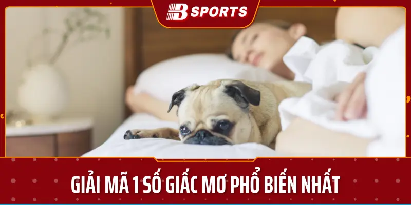 Giải mã 1 số giấc mơ phổ biến nhất