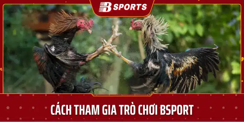 Cách tham gia trò chơi bsport