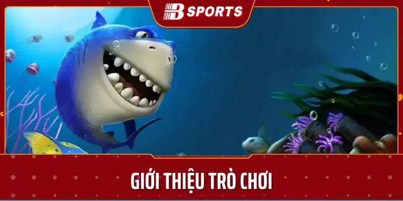 Giới thiệu trò chơi Bsport